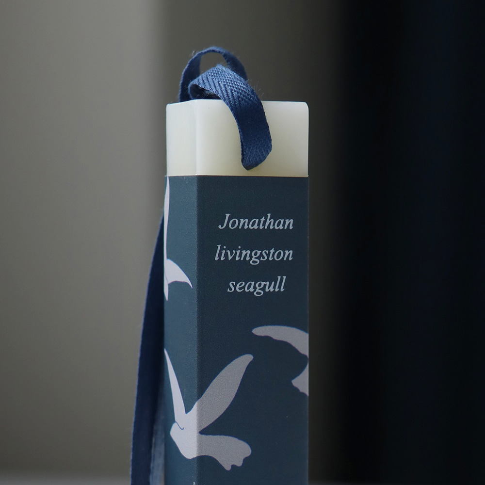 wax tablet _ Jonathan livingston seagull